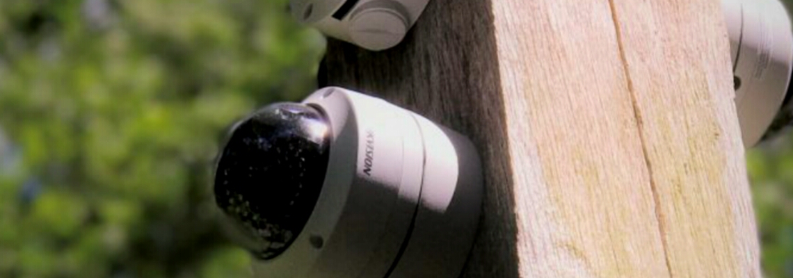 About Image